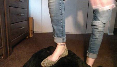 Stinky Leopard Print Ballet Flats