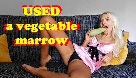 Stuffed food in my holes