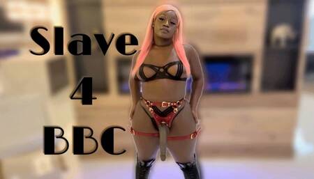 Slave for BBC - Big Black Cock