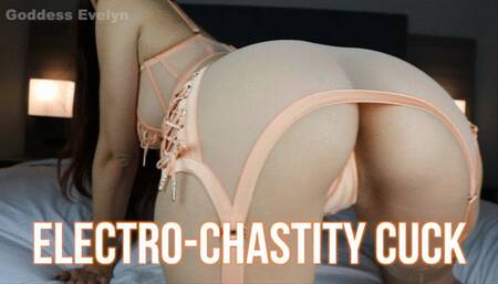 Electro-Chastity Cuck