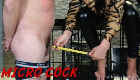 LUDOVICA LUXURY -MICRO COCK -HD