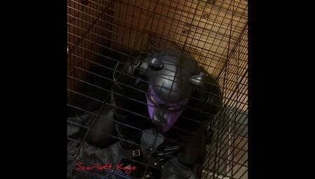 Scarlett Kage Puppy Punishment Part 2 of 2 - strap on, leather leggings, big butt, rough pegging, male orgasm, reach around jerk off, bondage, cage, straight jacket, collar, leash, leather, puppy play, pet play, SPH, angry domme, femdomme, female dominati