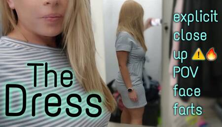 The Dress POV Explicit Face Farts