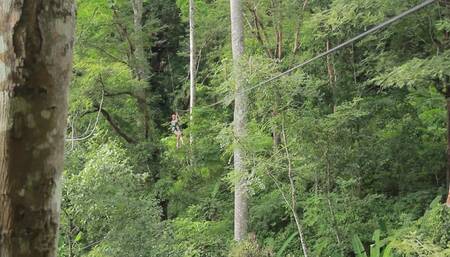 Anastasia (Flying Above The Jungle)
