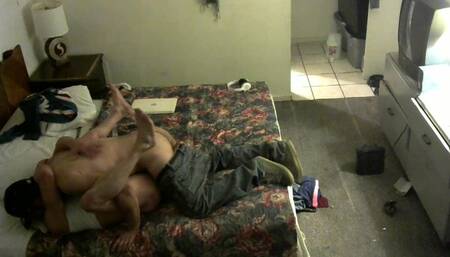 Quick Breeding in Motel