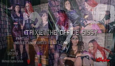 Trixie The Office Sissy
