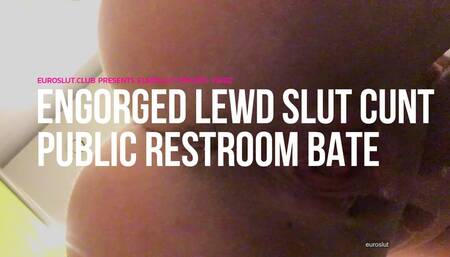 Euroslut Private Video Engorged Lewd Slut Cunt Public Restroom Bate