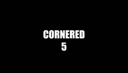 IS THIS MY CREAMIEST POWERHOUSE SQUIRT