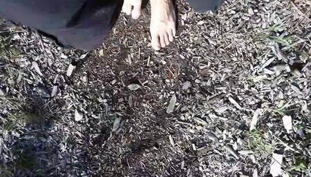 Walking in the Woods