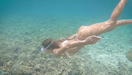 Komodo island (only for fans part)