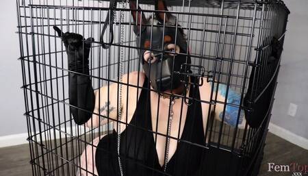 Femtop Sessions: Pup Girl Bound & Flogged