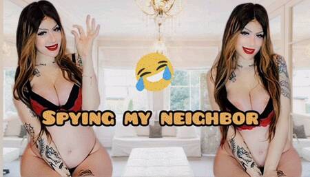 Spying my neighbor
