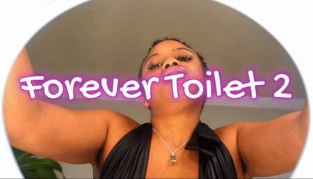 Forever Toilet 2