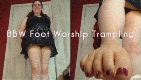 BBW Foot Worship Trampling