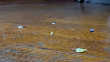 TWO OFFICE GIANTESSES AND SHRUNKEN CO-WORKERS - MP4 Mobile Version