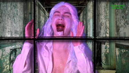 CRACK THAT NUT FOR THE NUTCRACKER