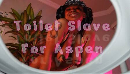 Toilet Slave For Aspen