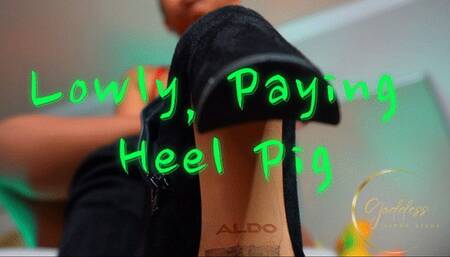 Lowly, Paying Heel Pig