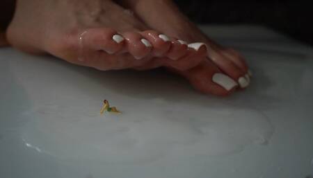 Taboo Giantess 1HR Compilation