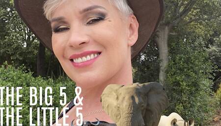 The Big 5 and The Little 5 HD (for Windows)