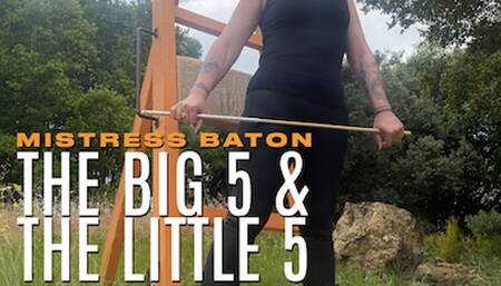 The Big 5 and The Little 5 HD QT