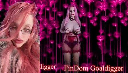 RipoffFantasyJOI Game