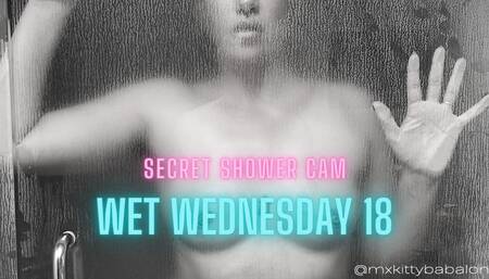 Mx Kitty's Soapy Titty Shower Tease