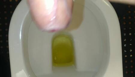 Masturbating and cumming in airport toilet after peeing