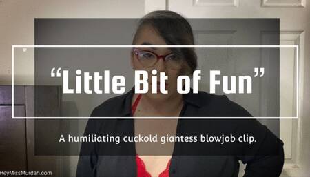 Little Bit of Fun HD