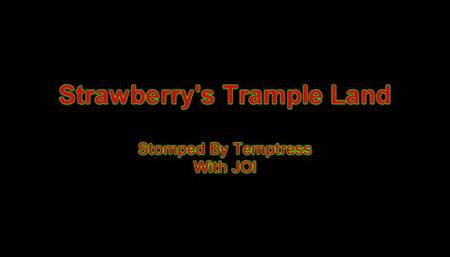 Stomped By Temptress With  JOI