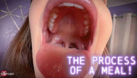 The Process Of A Meal Ft Ashlynn Taylor - HD MP4 1080p Format