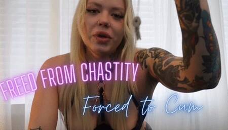 Freed From Chastity to Post Orgasm Torment