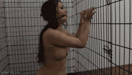 Lost Sister Bliss Dulce MP4 720hd C4S