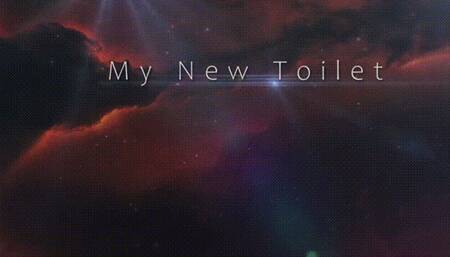 My New Toilet *mp4*