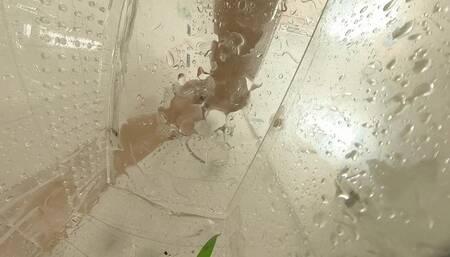 Koko's Shower Toy  4K  Version VR360