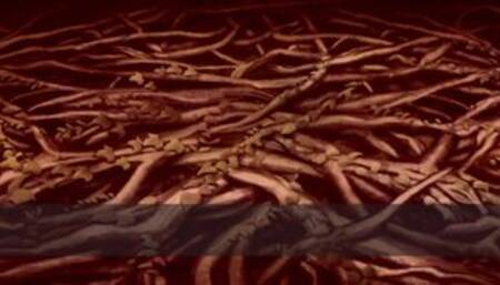 [Gameplay] Dragon Ball Super Lost EP - (PT 03) She cant wait for Broly Dick