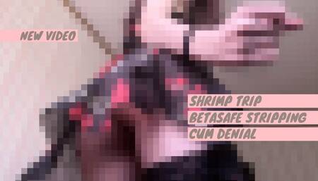 Pixelization station vol 25