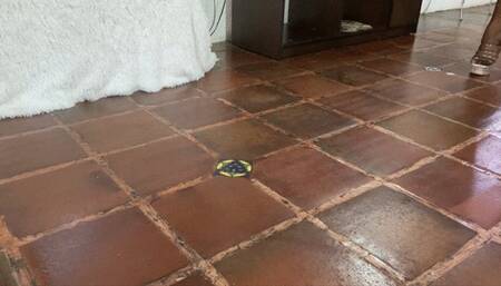 Balbina High Heels and Fishnet Teasing