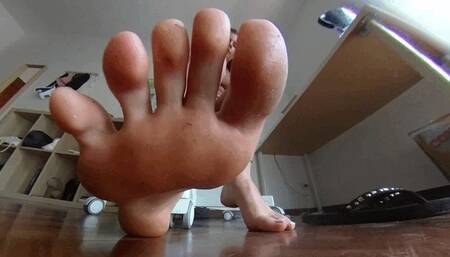 A day with Rose and her feet  4K VR360