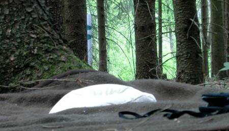 4th Session - Again in the woods - Clip 4