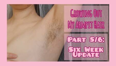 Growing out My armpit hair - six week update
