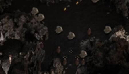 Treasure Of Nadia NLT-Media: Searching For Diana-Ep216