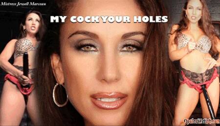 My Cock Your Holes