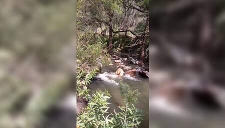 Enjoying the river part 2