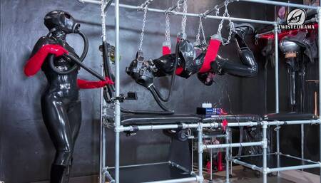 Full Latex Cover Hog Tie