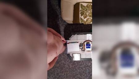 The top view of the little cock