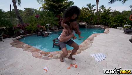 Mini Stallion - Small But Mighty