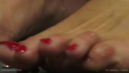 QueenSnake - Tanita - The March - Tanita