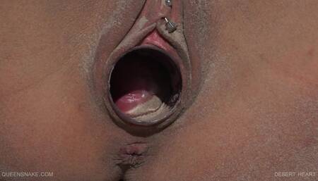 QueenSnake - Desert Heart