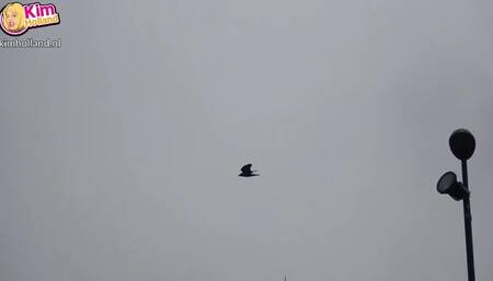 Ashley More & Daphne 'Get Well Tits'